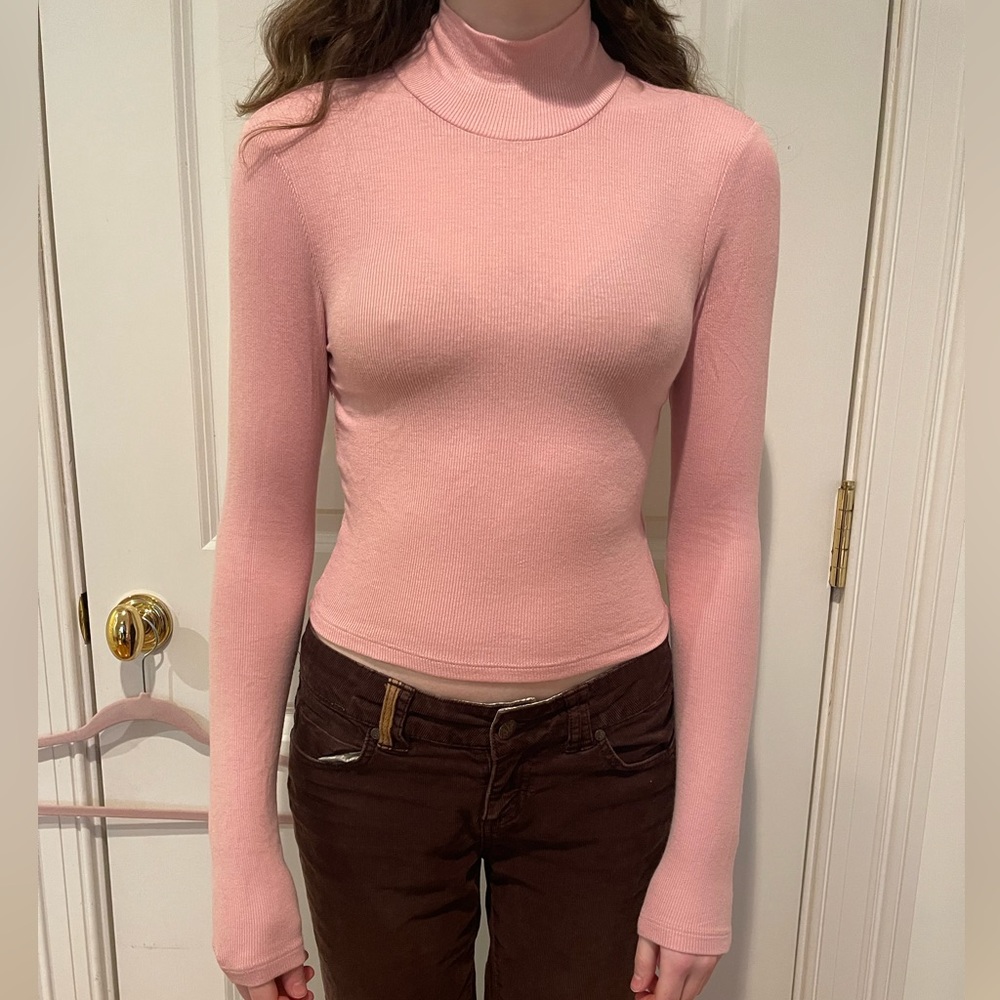 Pink long sleeve turtle neck. Brand: Aritzia (Wilfred). Size: small